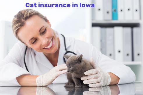 cat insurance in Iowa