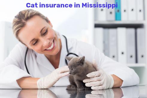 cat insurance in Mississippi
