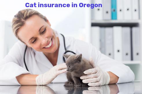 cat insurance in Oregon