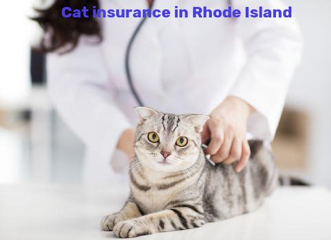 cat insurance in Rhode Island