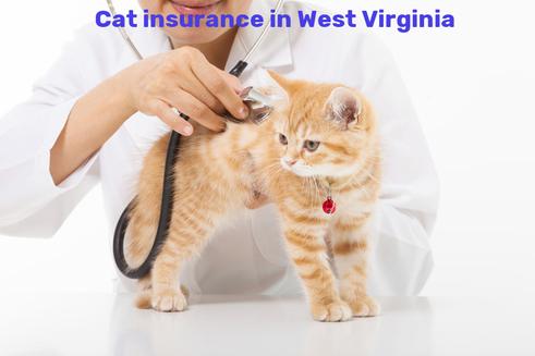 cat insurance in West Virginia