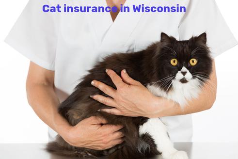 cat insurance in Wisconsin