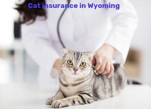 cat insurance in Wyoming