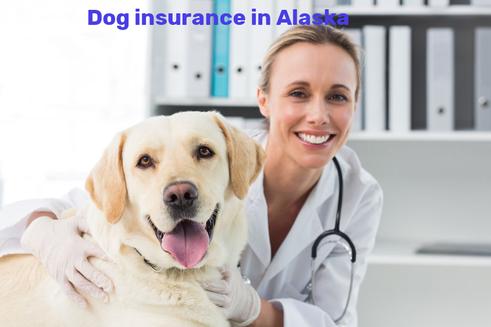 dog insurance in Alaska