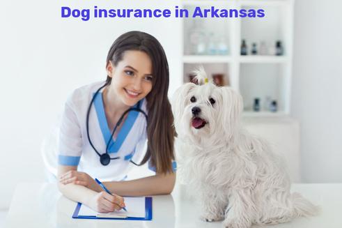 dog insurance in Arkansas