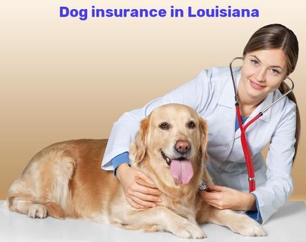 dog insurance in Louisiana