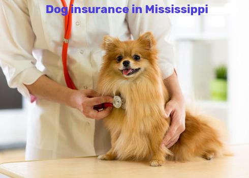 dog insurance in Mississippi