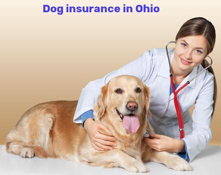 dog insurance in Ohio