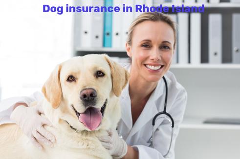 dog insurance in Rhode Island