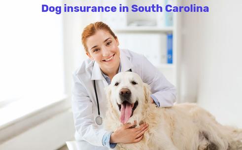 dog insurance in South Carolina