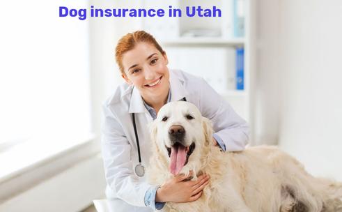 dog insurance in Utah