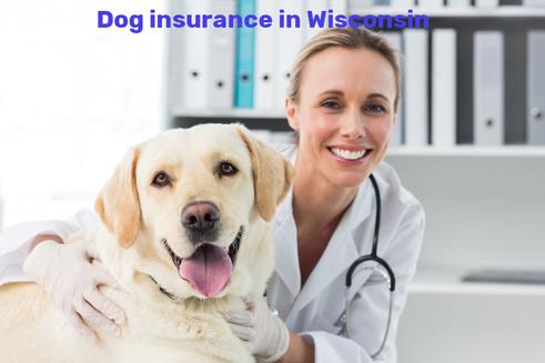 dog insurance in Wisconsin