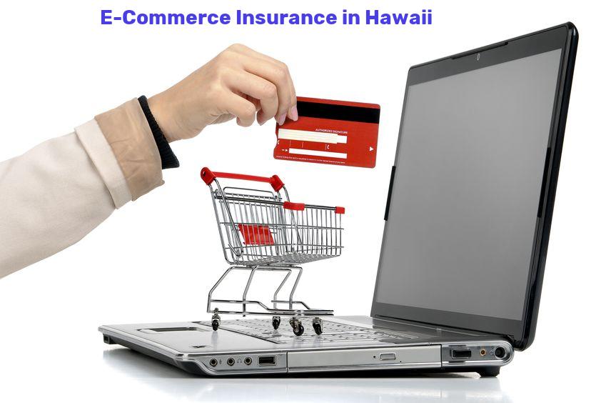 E-Commerce Insurance in Hawaii