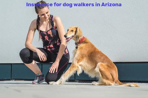 Insurance for dog walkers in Arizona