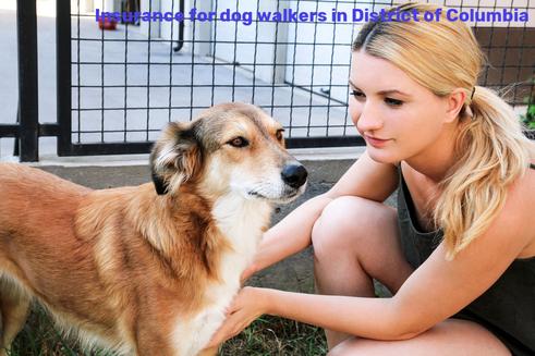 Insurance for dog walkers in District of Columbia