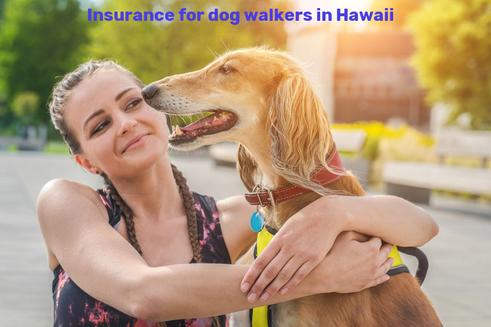 Insurance for dog walkers in Hawaii