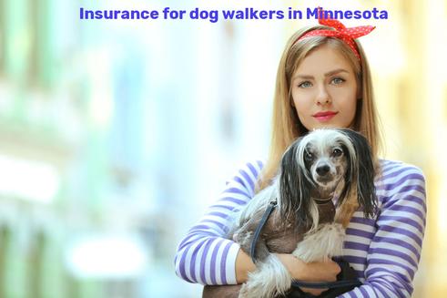 Insurance for dog walkers in Minnesota