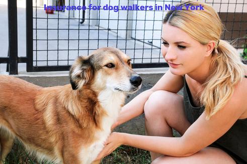Insurance for dog walkers in New York