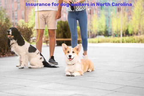 Insurance for dog walkers in North Carolina
