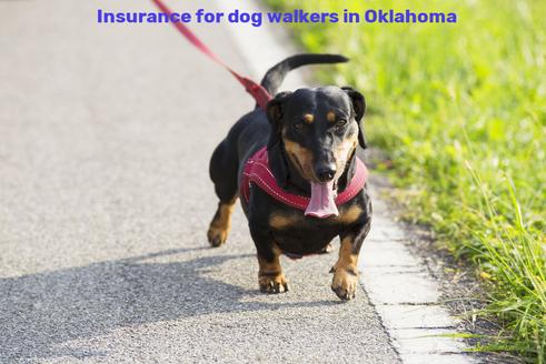 Insurance for dog walkers in Oklahoma