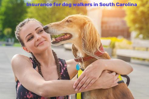 Insurance for dog walkers in South Carolina
