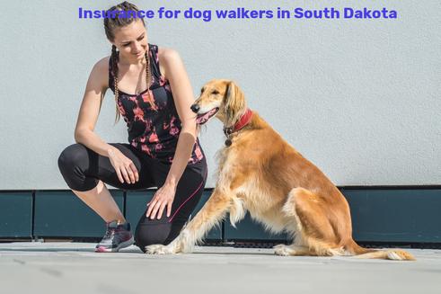 Insurance for dog walkers in South Dakota