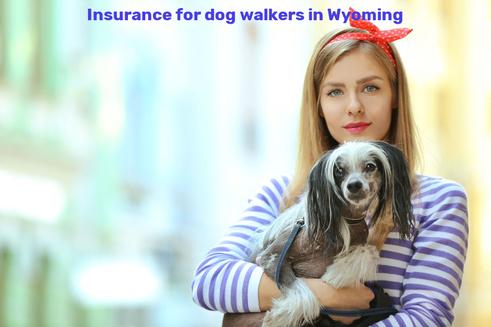 Insurance for dog walkers in Wyoming