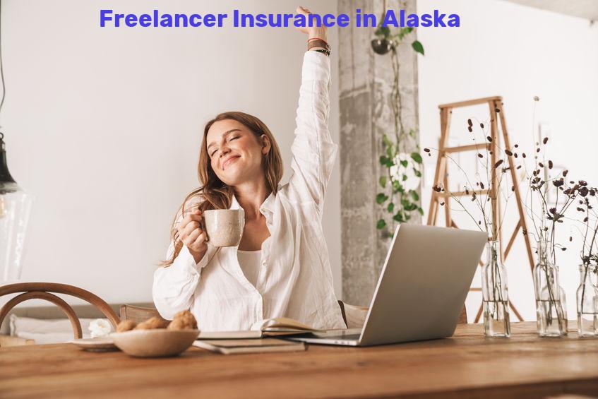 Freelancer Insurance in Alaska
