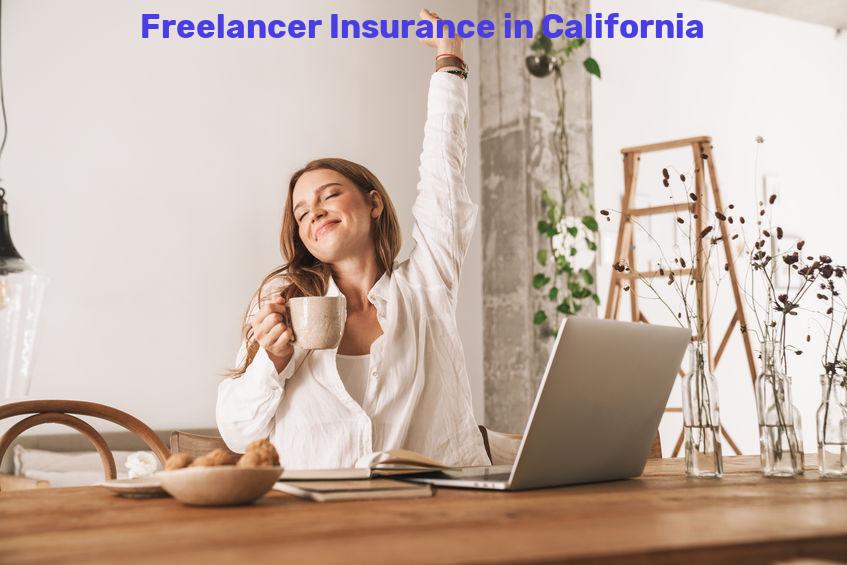 Freelancer Insurance in California