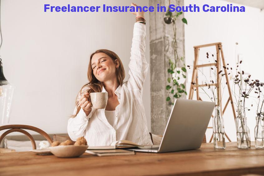 Freelancer Insurance in South Carolina