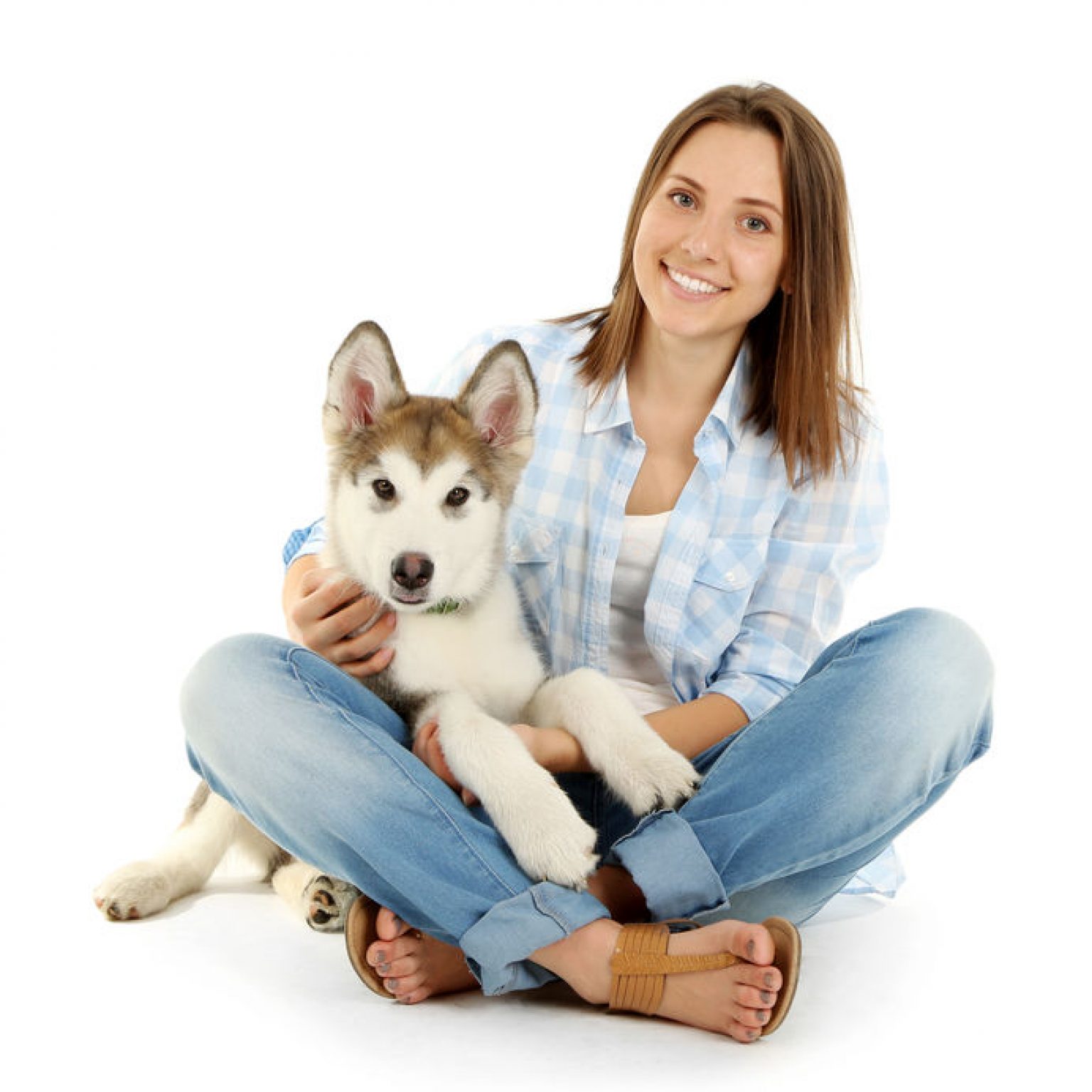 Insurance for dog walkers and pet sitters