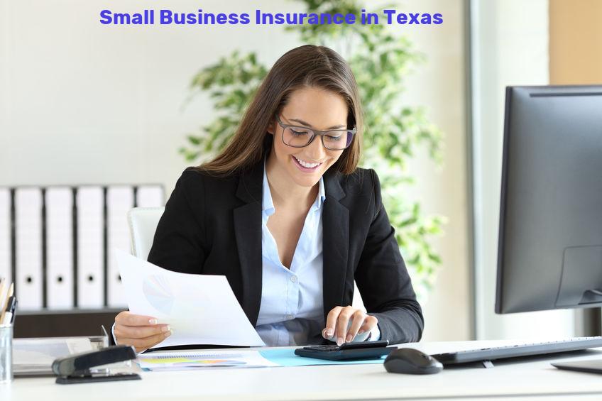 Texas Small Business Insurance (TX) policies and cost