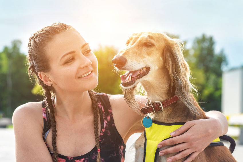 What are the top tips for professional dog walkers