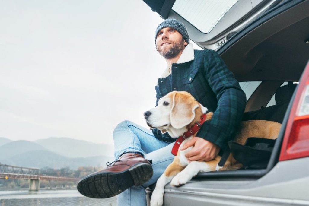 How to Start a Pet Transport Business
