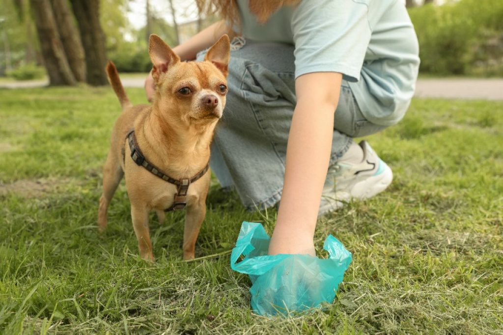 Pet Waste removal insurance